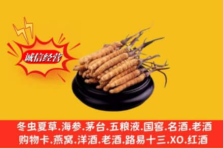 黄山市祁门求购回收虫草多少钱每克